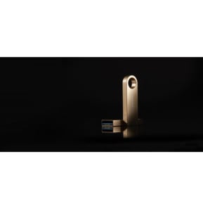 Kingston Technology DataTraveler 256Go 220Mo/s Clé USB 3.2 Gen 1 Métal SE9 G3 (DTSE9G3/256GB)