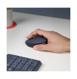Logitech M170 Grey-K souris Ambidextre RF sans fil Optique 1000 DPI (910-004642)