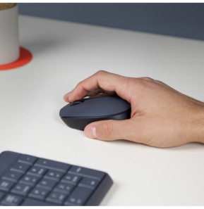 Logitech M170 Grey-K souris Ambidextre RF sans fil Optique 1000 DPI (910-004642)