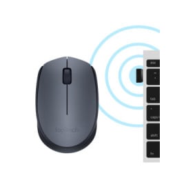Logitech M170 Grey-K souris Ambidextre RF sans fil Optique 1000 DPI (910-004642)