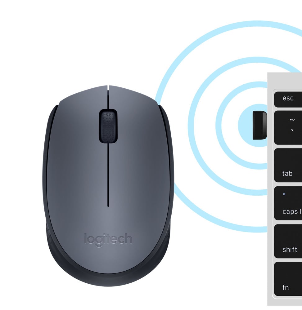 Logitech M170 Grey-K souris Ambidextre RF sans fil Optique 1000 DPI (910-004642)