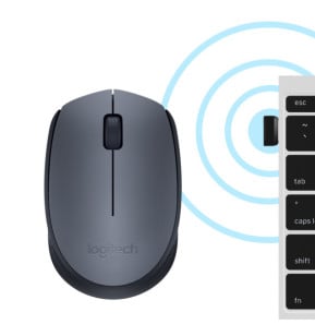 Logitech M170 Grey-K souris Ambidextre RF sans fil Optique 1000 DPI (910-004642)