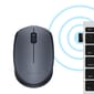 Souris sans fil Logitech M170 - USB (910-004642)