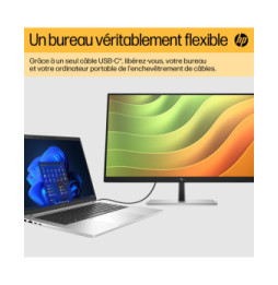 HP Écran USB-C FHD E24u G5 Écran USB-C FHD HP E24u G5  (6N4D0AA)