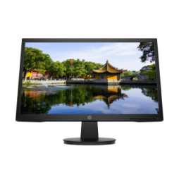 HP Écran FHD V22v G5 Écran FHD HP V22v G5 (65P56AA)