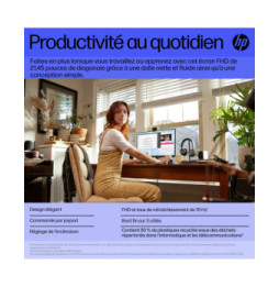 HP Écran FHD V22v G5 Écran FHD HP V22v G5 (65P56AA)