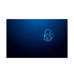 Kingston Technology IronKey 32 Go Vault Privacy 50 chiffrée AES-256, FIPS 197 (IKVP50/32GB)