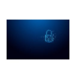 Kingston Technology IronKey 8 Go Vault Privacy 50 chiffrée AES-256, FIPS 197 (IKVP50/8GB)