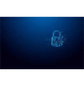 Kingston Technology IronKey 128 Go Vault Privacy 50 chiffrée AES-256, FIPS 197 (IKVP50/128GB)