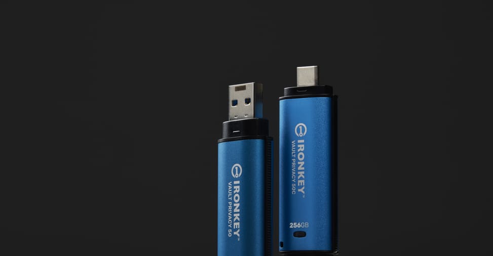 Kingston Technology IronKey 256 Go Vault Privacy 50 chiffrée AES-256, FIPS 197 (IKVP50/256GB) — image 8