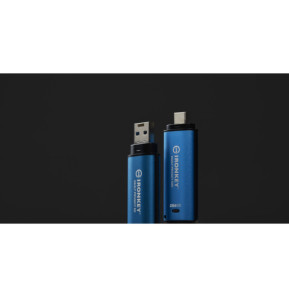 Kingston Technology IronKey 256 Go Vault Privacy 50 chiffrée AES-256, FIPS 197 (IKVP50/256GB)