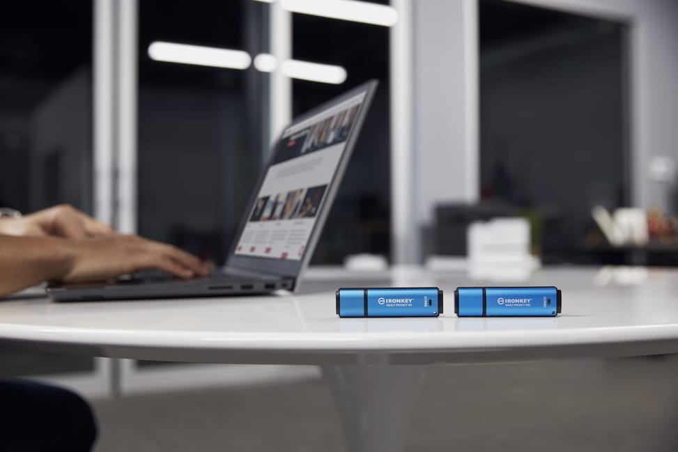 Kingston Technology IronKey 256 Go Vault Privacy 50 chiffrée AES-256, FIPS 197 (IKVP50/256GB) — image 9