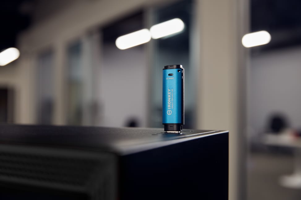 Kingston Technology IronKey 256 Go Vault Privacy 50 chiffrée AES-256, FIPS 197 (IKVP50/256GB) — image 11
