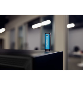 Kingston Technology IronKey 256 Go Vault Privacy 50 chiffrée AES-256, FIPS 197 (IKVP50/256GB)