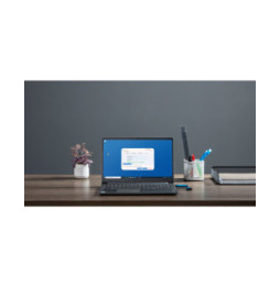 Kingston Technology IronKey 256 Go Vault Privacy 50 chiffrée AES-256, FIPS 197 (IKVP50/256GB)