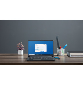 Kingston Technology IronKey 256 Go Vault Privacy 50 chiffrée AES-256, FIPS 197 (IKVP50/256GB)