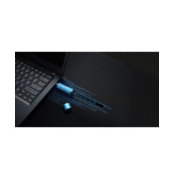 Kingston Technology IronKey 256 Go Vault Privacy 50 chiffrée AES-256, FIPS 197 (IKVP50/256GB)