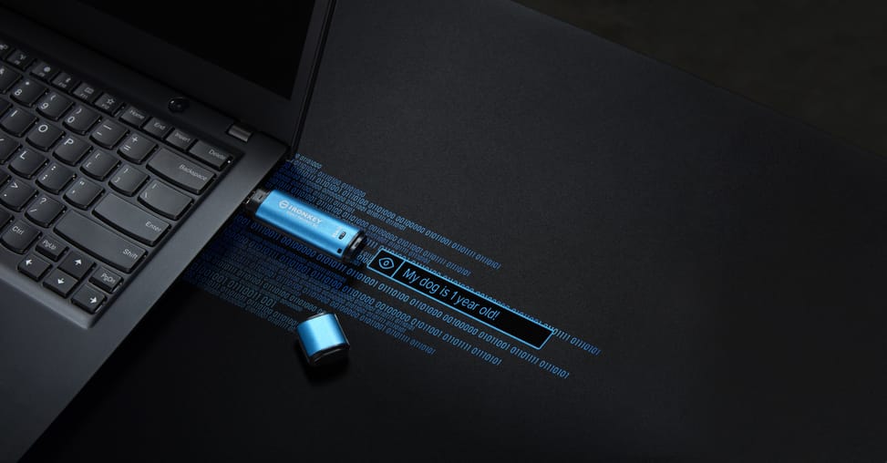 Kingston Technology IronKey 256 Go Vault Privacy 50 chiffrée AES-256, FIPS 197 (IKVP50/256GB) — image 16