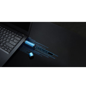 Kingston Technology IronKey 256 Go Vault Privacy 50 chiffrée AES-256, FIPS 197 (IKVP50/256GB)