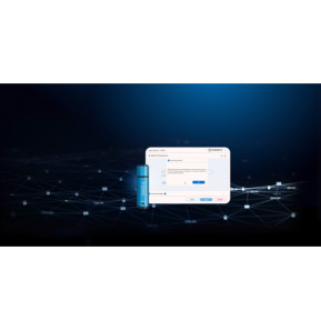 Kingston Technology IronKey 256 Go Vault Privacy 50 chiffrée AES-256, FIPS 197 (IKVP50/256GB)