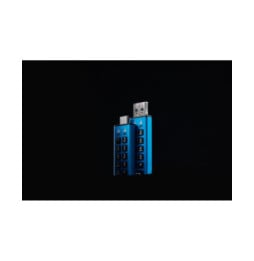Kingston Technology IronKey Keypad 200C USB-C de 16 Go, FIPS 140-3 niveau 3 (en attente) AES-256 (IKKP200C/16GB)