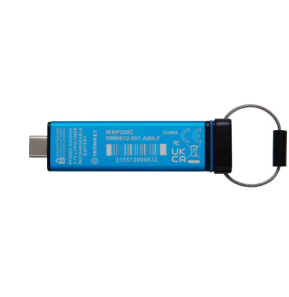 Kingston Technology IronKey Keypad 200C USB-C de 32 Go, FIPS 140-3 niveau 3 (en attente) AES-256 (IKKP200C/32GB)