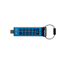 Kingston Technology IronKey Keypad 200C USB-C de 256 Go, FIPS 140-3 niveau 3 (en attente) AES-256 (IKKP200C/256GB)