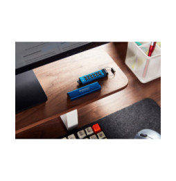 Kingston Technology IronKey Keypad 200C USB-C de 256 Go, FIPS 140-3 niveau 3 (en attente) AES-256 (IKKP200C/256GB)