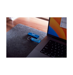 Kingston Technology IronKey Keypad 200C USB-C de 256 Go, FIPS 140-3 niveau 3 (en attente) AES-256 (IKKP200C/256GB)