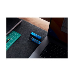 Kingston Technology IronKey Keypad 200C USB-C de 256 Go, FIPS 140-3 niveau 3 (en attente) AES-256 (IKKP200C/256GB)