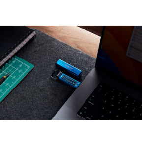 Kingston Technology IronKey Keypad 200C USB-C de 256 Go, FIPS 140-3 niveau 3 (en attente) AES-256 (IKKP200C/256GB)