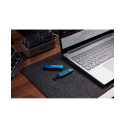 Kingston Technology IronKey Keypad 200C USB-C de 256 Go, FIPS 140-3 niveau 3 (en attente) AES-256 (IKKP200C/256GB)