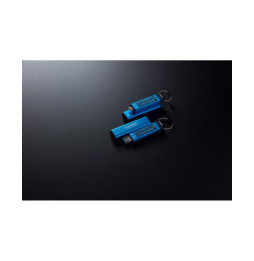 Kingston Technology IronKey Keypad 200C USB-C de 256 Go, FIPS 140-3 niveau 3 (en attente) AES-256 (IKKP200C/256GB)