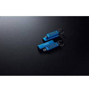 Kingston Technology IronKey Keypad 200C USB-C de 256 Go, FIPS 140-3 niveau 3 (en attente) AES-256 (IKKP200C/256GB)