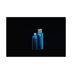 Kingston Technology IronKey Keypad 200C USB-C de 512 Go, FIPS 140-3 niveau 3 (en attente) AES-256 (IKKP200C/512GB)