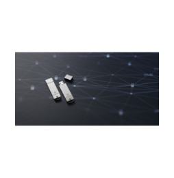 Kingston Technology IronKey 8Go Basic S1000 Encrypted USB 3.0 FIPS 140-2 Level 3 (IKS1000B/8GB)