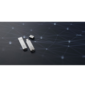 Kingston Technology IronKey 8Go Basic S1000 Encrypted USB 3.0 FIPS 140-2 Level 3 (IKS1000B/8GB)