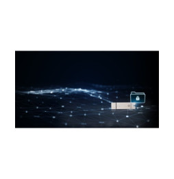 Kingston Technology IronKey 8Go Basic S1000 Encrypted USB 3.0 FIPS 140-2 Level 3 (IKS1000B/8GB)