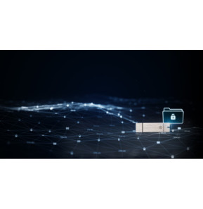 Kingston Technology IronKey 8Go Basic S1000 Encrypted USB 3.0 FIPS 140-2 Level 3 (IKS1000B/8GB)