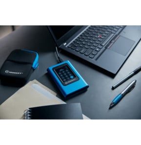 Kingston Technology IronKey 960Go Vault Privacy 80 XTS-AES 256-bit SSD externe chiffré (IKVP80ES/960G)