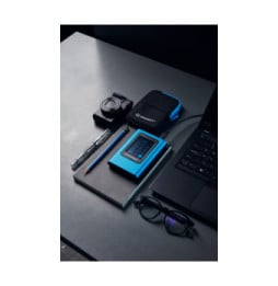 Kingston Technology IronKey 960Go Vault Privacy 80 XTS-AES 256-bit SSD externe chiffré (IKVP80ES/960G)