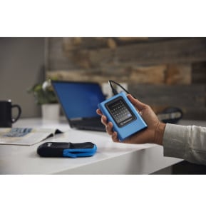 Kingston Technology IronKey 960Go Vault Privacy 80 XTS-AES 256-bit SSD externe chiffré (IKVP80ES/960G)