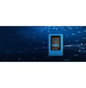 Kingston Technology IronKey 960Go Vault Privacy 80 XTS-AES 256-bit SSD externe chiffré (IKVP80ES/960G)