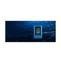 Kingston Technology IronKey 1920Go Vault Privacy 80 XTS-AES 256-bit SSD externe chiffré (IKVP80ES/1920G)