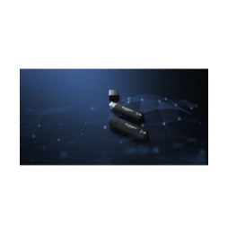 Kingston Technology IronKey 128 Go D500S FIPS 140-3 Lvl 3 (en attente) AES-256 (IKD500S/128GB)