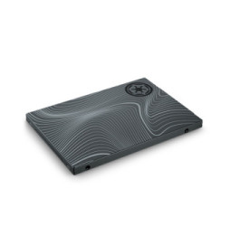 Seagate FireCuda ZA1000GM10011 disque SSD 2.5" 1 To Série ATA III 3D TLC (ZA1000GM10011)