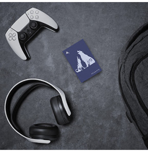 Seagate Disque God of War Ragnarök Game Drive en édition limitée 2To, PS5/PS4, USB 3.0, 249 g  (STLV2000200)
