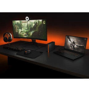 Seagate FireCuda Gaming Hub disque dur externe 16 To Noir 16 To, USB 3.0, 49.2x206x128 mm  (STKK16000400)