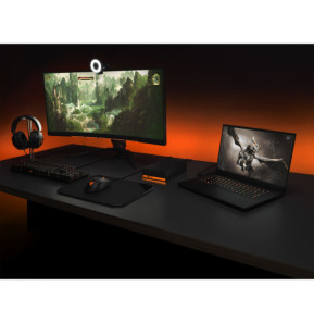 Seagate FireCuda Gaming Hub disque dur externe 16 To Noir 16 To, USB 3.0, 49.2x206x128 mm  (STKK16000400)