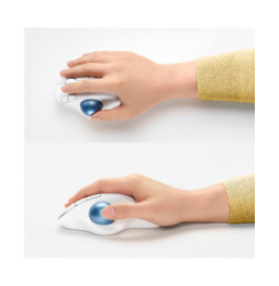 Logitech ERGO M575 Trackball 5 buttons, Bluetooth, Trackball, 400 - 2000 Dpi, 100 x 134 x 48 mm, 145 g  (910-005870)